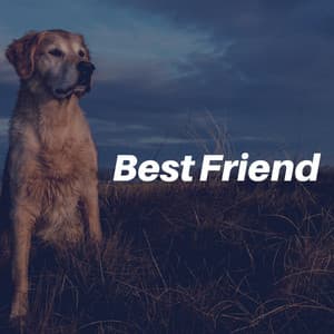 Best Friend - Dog Sleep Dreams