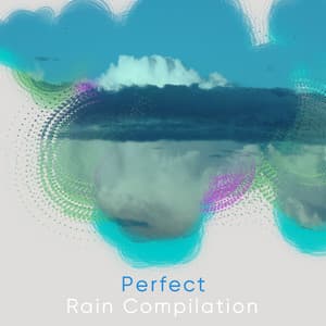 Perfect Rain Compilation - Pacific Rim Nature Sounds