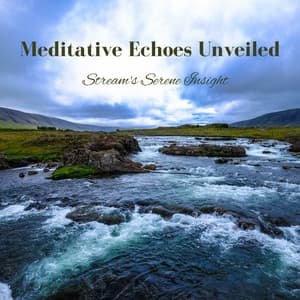 Meditative Echoes Unveiled: Stream's Serene Insight - Nature on Record