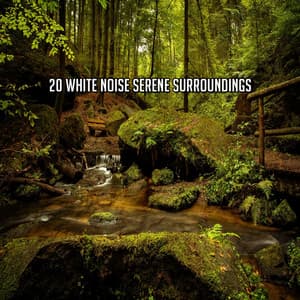 20 White Noise Serene Surroundings - White Noise For Baby Sleep