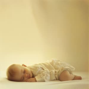 Sombras De La Tarde: Silencio Del Sueño Para Bebés - Canciones de cuna brillantes para bebés