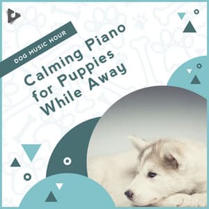 Calming Piano for Puppies While Away - Dog Music Hour