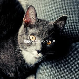 睡眠のためのジャズ - French Pastry Shop Music