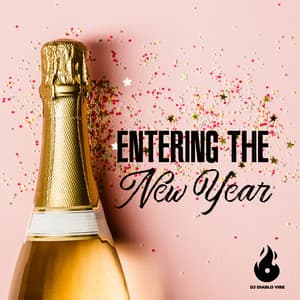 Entering the New Year: Winter Chill, Cool Vibe, Hotel Party Del Mar - DJ Diablo Vibe