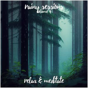 Serene Rainfall - Relax and Meditate