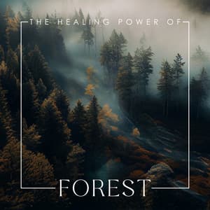 The Healing Power of Forest: Woodland Ambience - Close to Nature Music Ensemble
