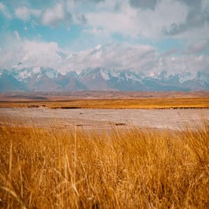 Classic for Good Dream - Lullaby music