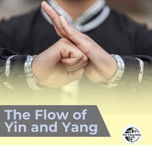 The Flow of Yin and Yang - Yin Yang Man