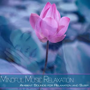 Mindful Music Relaxation: Ambient Sounds for Relaxation and Sleep - Spa Music Relaxation