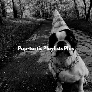 Pup-tastic Playlists Plus - Jazz Instrumental Chill
