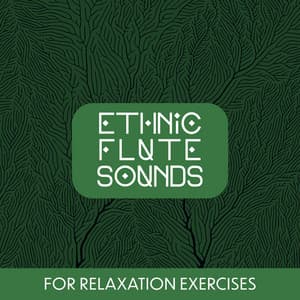 Ethnic Flute Sounds for Relaxation Exercises - Flute Music Group