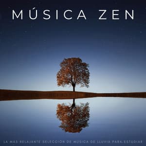 Música Zen: La Más Relajante Selección De Música De Lluvia Para Estudiar - Música Para Aliviar El Estrés