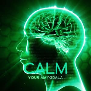Calm Your Amygdala: Cure Anxiety Panic Attacks Naturally, Brainwave Frequencies, Amygdala Music - John Flow