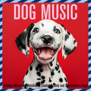 Dog Music: Calming Relaxation Melodies to Combat Anxiety and Depression in Dogs - Dog Music Dreams