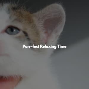 Purr-fect Relaxing Time - Musica para Restaurantes Ambiente
