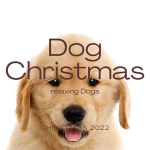 2022 Dog Christmas - Dog Music Waves