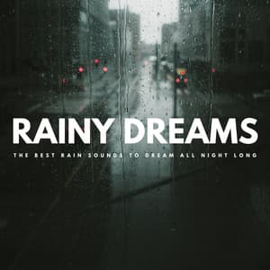Rainy Dreams: The Best Rain Sounds To Dream All Night Long - The Calm Factory