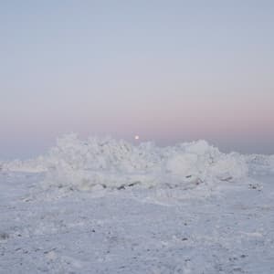 Terror Management - billy woods