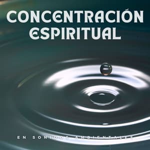 Concentración Espiritual En Sonidos Ambientales - Chillout Salón Piano