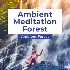 Ambient Meditation Forest - Ambient Forest