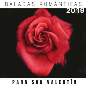 Baladas Románticas para San Valentín 2019 - Fondo de Música Tierno y Apasionado para Tí y tu Alma Gemela - Canciones de Amor