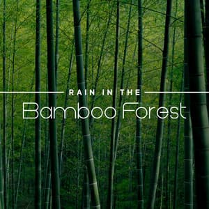 Rain in the Bamboo Forest - Máire - Marie Anderson