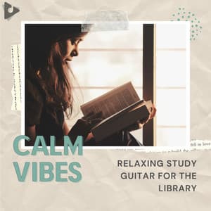 Relaxing Study Guitar for the Library - Calm Vibes