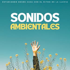 Sonidos Ambientales: Estudiando Desde Casa Con El Ritmo De La Lluvia - Ambiente De Lluvia