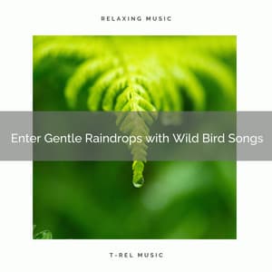 ! ! ! ! ! ! ! ! ! ! Enter Gentle Raindrops with Wild Bird Songs - Heavy Rain Sounds