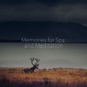 Memories for Spa and Meditation - Bird Sounds