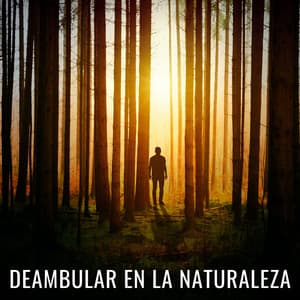 Deambular En La Naturaleza - 101 Naturaleza
