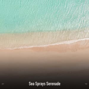 !!!!" Sea Sprays Serenade "!!!! - Ocean Waves