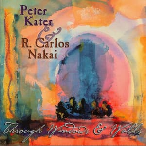 Through Windows and Walls - Peter Kater