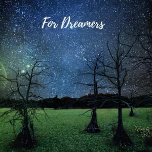 For Dreamers - Sky Fall SF