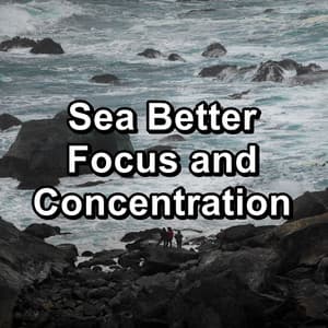 Sea Better Focus and Concentration - Ocean Waves Sleep Aid