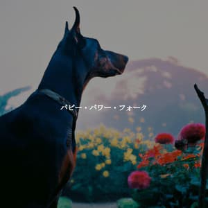 パピー・パワー・フォーク - Jazz Coffee Break Sophistications