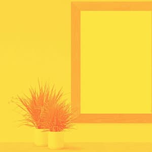 Backdrop for Chill Monday Moments - Bossa Guitar Trio with Jazz Organ - Alegre Musica de Piano