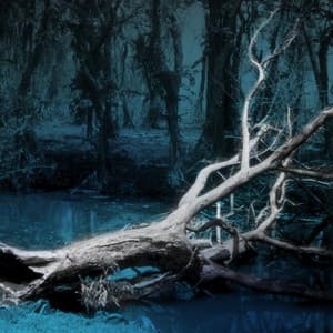 Nature Documentaries, Vol. 1: Mystic Earth - Anselm Kreuzer