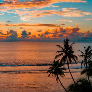 Concentration Whispers: Ocean Soundscapes Serenity - 101 Sea