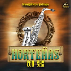 Huapanguitos Pal Pachangon - Norteñas Con Sax