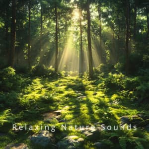 Serenity Streams: Sleep & Nature Harmony - Relaxing Nature Sounds