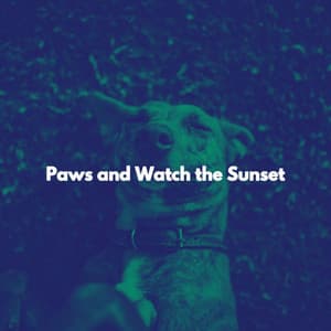 Paws and Watch the Sunset - Música para Oficinas Musica De Fondo