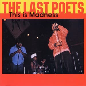 This Is Madness - The Last Poets