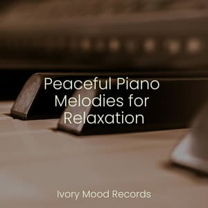 Peaceful Piano Melodies for Relaxation - Ivory Mood