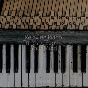 Relaxing Piano Tunes to Soothe Your Mind - Ivory Mood