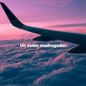 Un vuelo madrugador - Classy Lounge Playlist