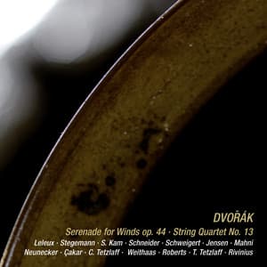 Dvořák: Serenade in D Minor, B. 77; String Quartet No. 13 in G Major, B. 192 - Antonín Dvořák