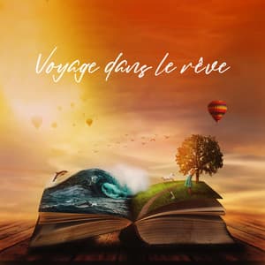 Voyage dans le rêve: Sons célestes pour un sommeil profond, Traitement de l'insomnie, Aide naturelle au sommeil - Relaxation mentale