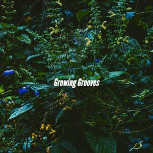 Growing Grooves - Calm Instrumental Coffee House