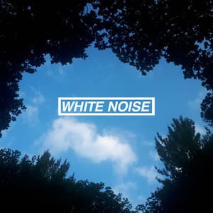 Sleep Collection - Rain Noise Collectors